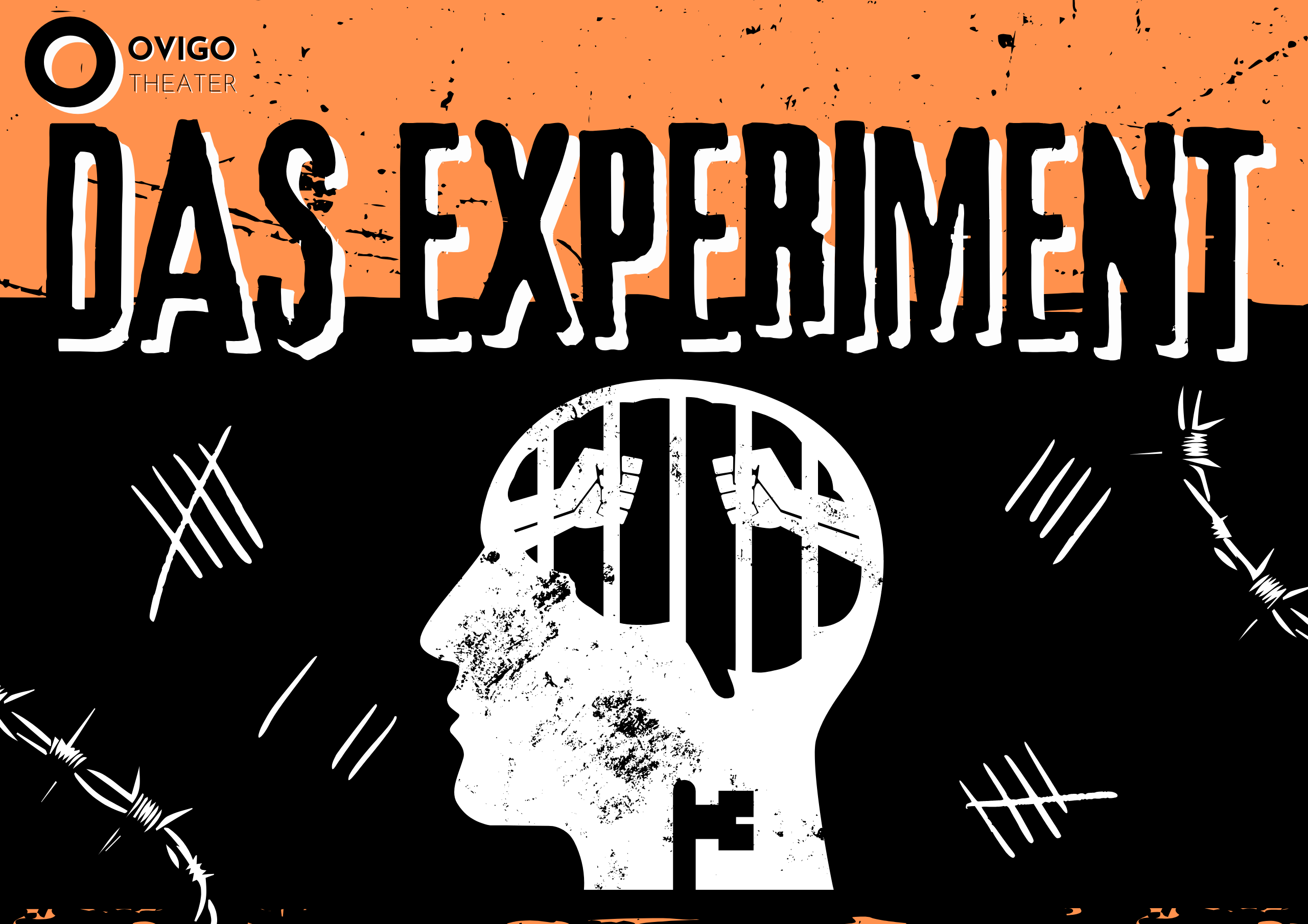 Das Experiment - Web