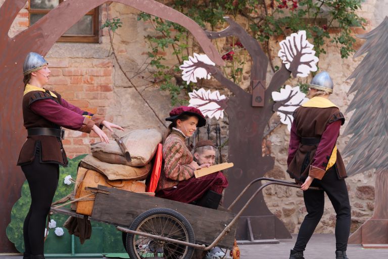 ovigo-theater-robin-hood-010