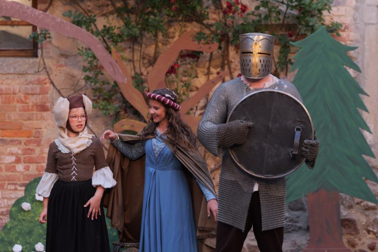 ovigo-theater-robin-hood-024